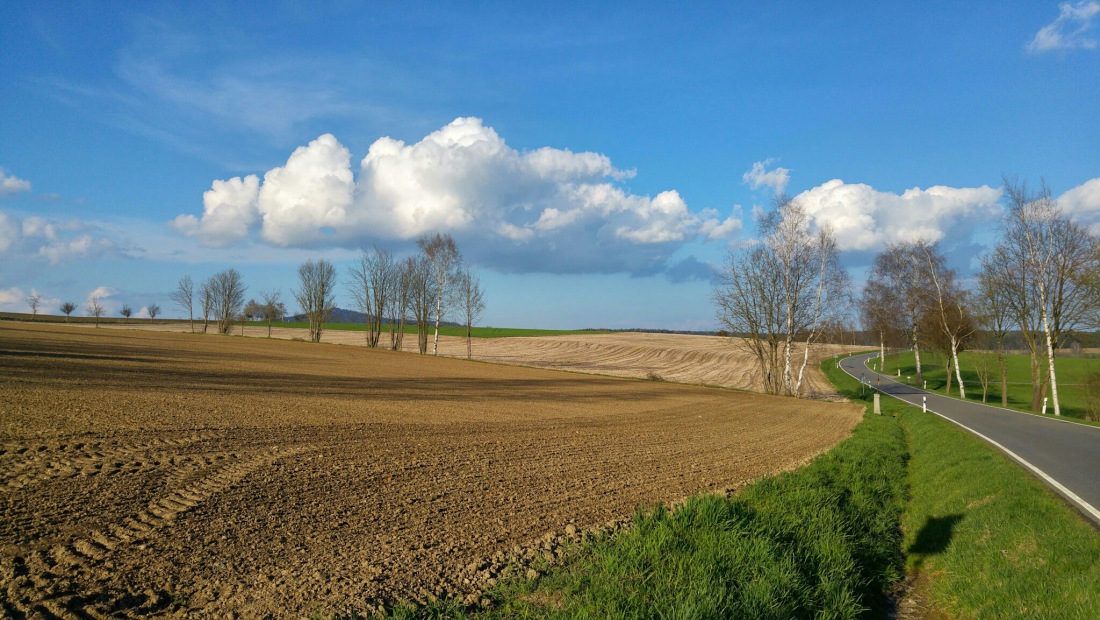 Foto: Martin Zehrer - 14.April 2016 - war das ein schöner Frühling :-) 