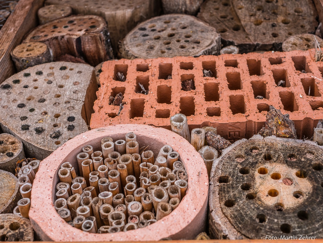 Foto: Martin Zehrer - Nahaufnahme eines Insekten-Hotels in Neustadt am Kulm... Sehr interessant... wird als Nist- und Überwinterungshilfe von Insekten genutzt... 