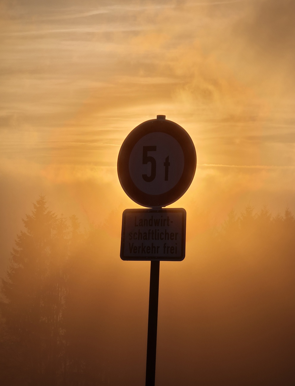 Foto: Jennifer M&uuml;ller - Heute hatten wir richtig Gl&uuml;ck! Die Sonne hat sich gezeigt... f&uuml;r einen kurzen Augenblick. Die Natur hat uns wunderbare Momente geschenkt.  
