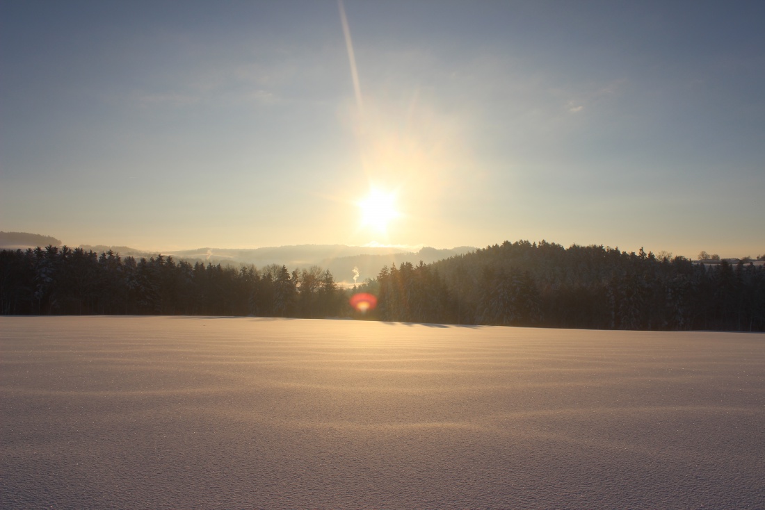 Foto: Joshua Richter - Wintermorgen 