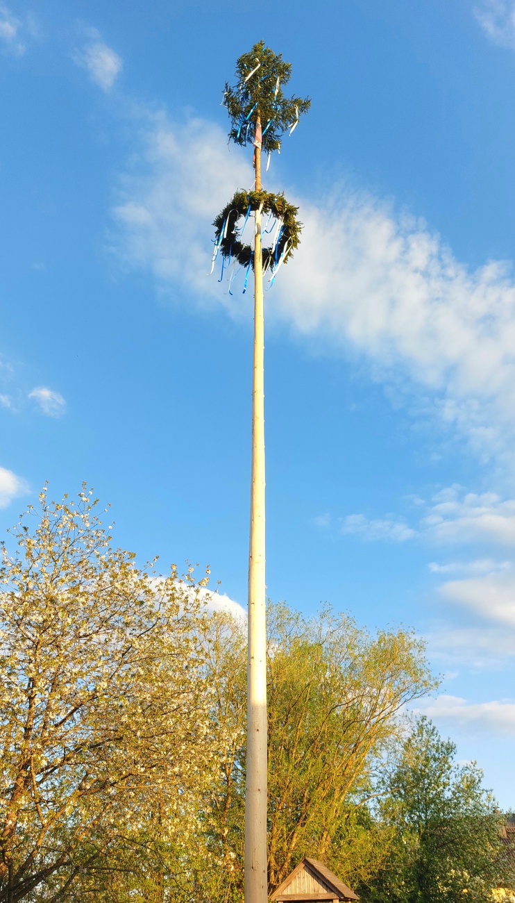 Foto: Martin Zehrer - Der Maibaum steht in Hermannsreuth. Mit vereinter Manneskraft wurde dieser ohne Maschinen aufgestellt.<br />
Es gibt auch ein Video auf Huzern dazu... 