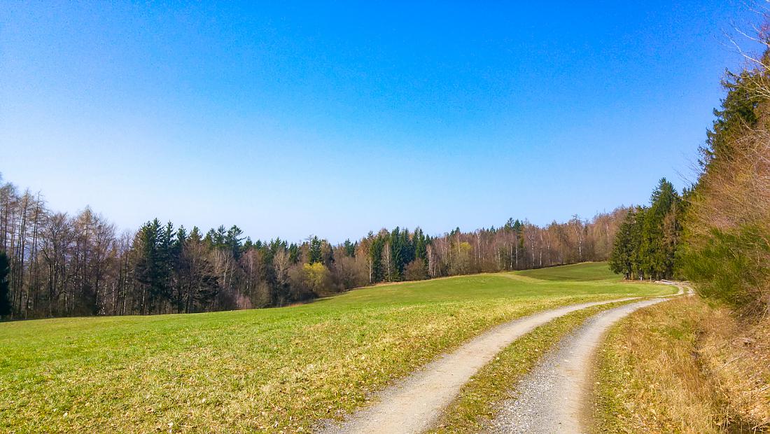 Foto: Martin Zehrer - 27.3.2020 - Oben, am Armesberg...<br />
<br />
Paradiesisch... Der Weg hinterm "Kalmer Sepp" zum Armesberg... Wahnsinns Frühlingswetter!<br />
<br />
Wegen der Ausgangsbeschränkung nur allei 