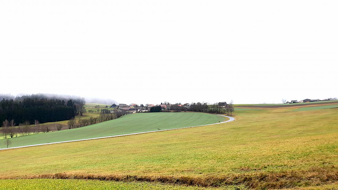 Foto: Martin Zehrer - Grün... Winter-Landschaft unterhalb von Godas.<br />
Auch im Bild, die Straße von Godas nach Trevesen. 