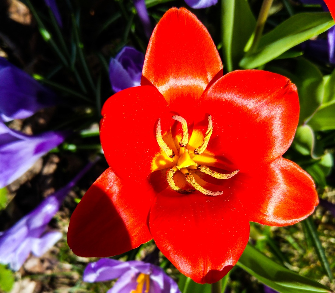 Foto: Martin Zehrer - 31. März 2017 und die Temperatur auf ca. 23 Grad Wärme - Es ist Frühling ;-) 