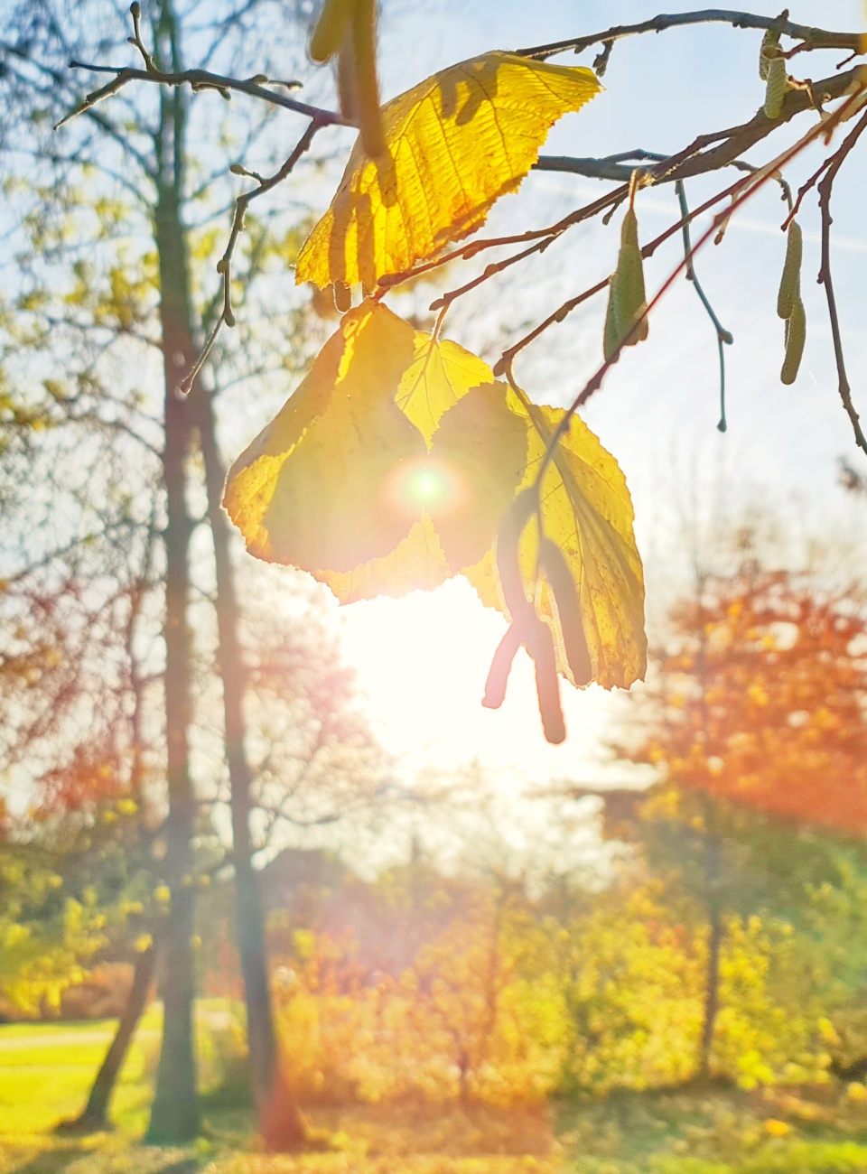 Foto: Jennifer Müller - Endlich scheint die Sonne wieder! 