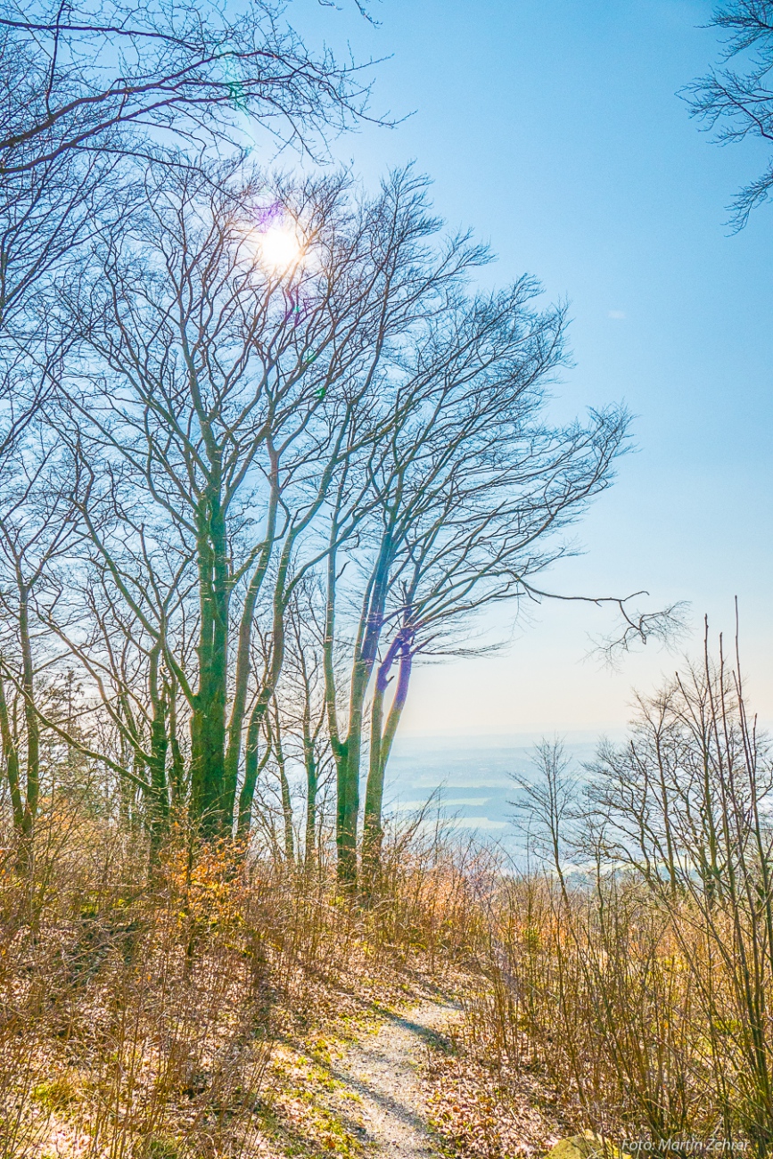 Foto: Martin Zehrer - Das ist nicht die Toskana!<br />
<br />
Samstag, 23. März 2019 - Entdecke den Armesberg!<br />
<br />
Das Wetter war einmalig. Angenehme Wärme, strahlende Sonne, die Feldlerchen flattern sch 