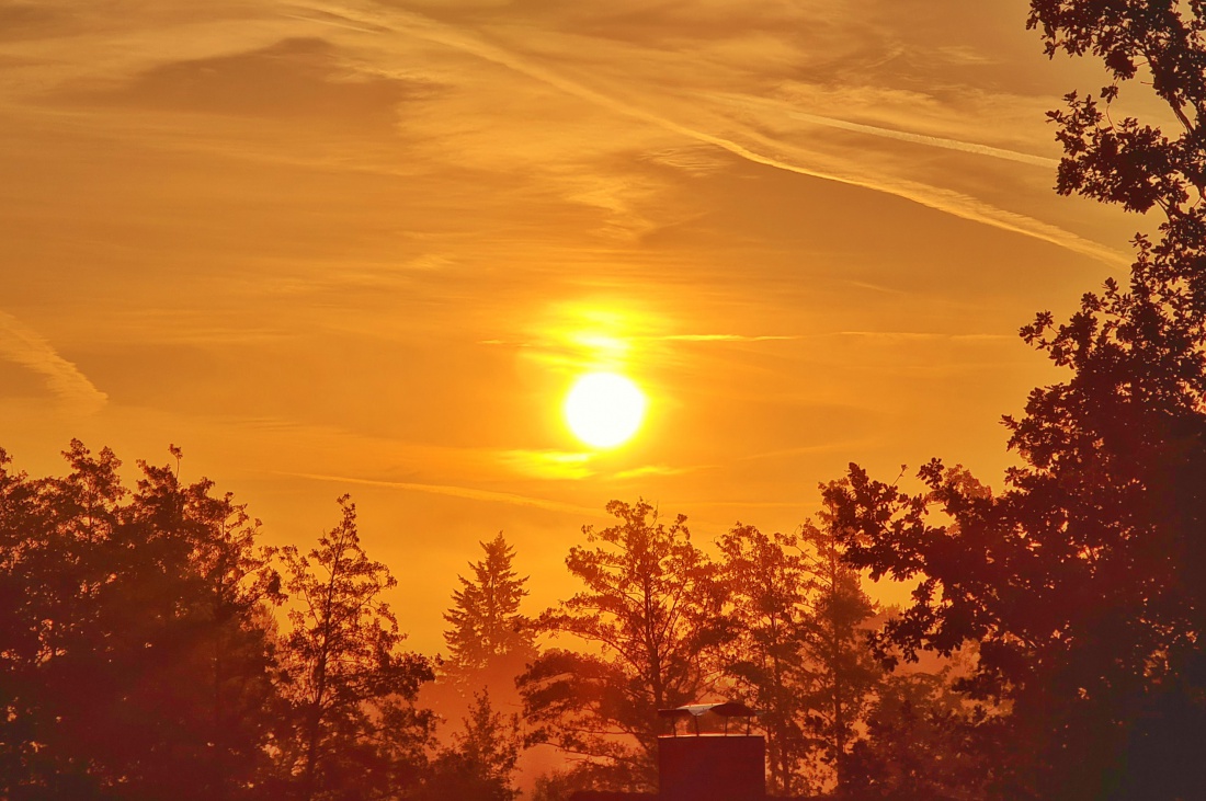 Foto: Jennifer Müller - Da lohnt sich der Blick aus dem Fenster am frühen Morgen! Ein (FAST) perfekter Start in den Tag ;-) 