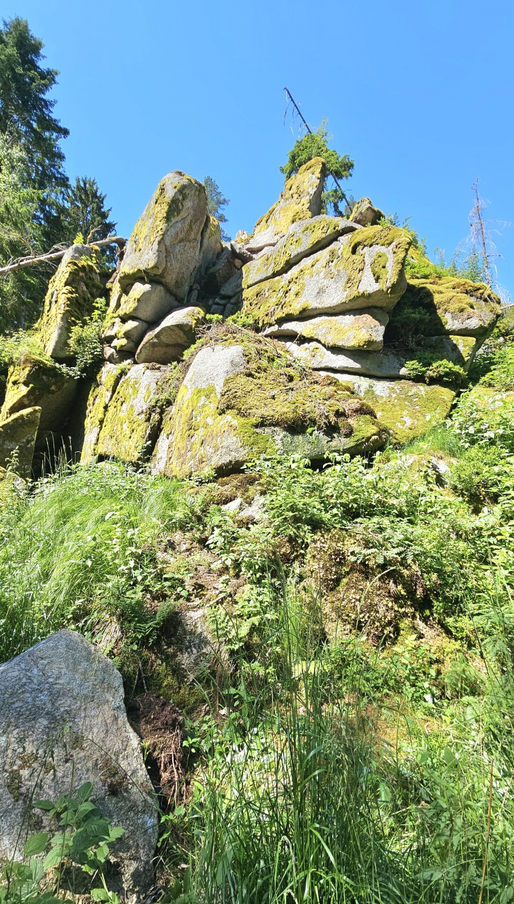 Herrliche Natur, traumhafte Landschaften... auf dem Weg zur Blockhütte im Waldnaabtal.