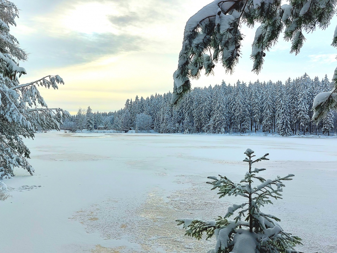 Foto: Martin Zehrer - Traumhaft: Winter am Fichtelsee...<br />
<br />
Ca. minus -6 Grad Kälte, Eisfläche auf dem See noch nicht wirklich tragfähig.<br />
Manchmal guckte die Sonne aus den Wolken hervor. <br />
<br />
 