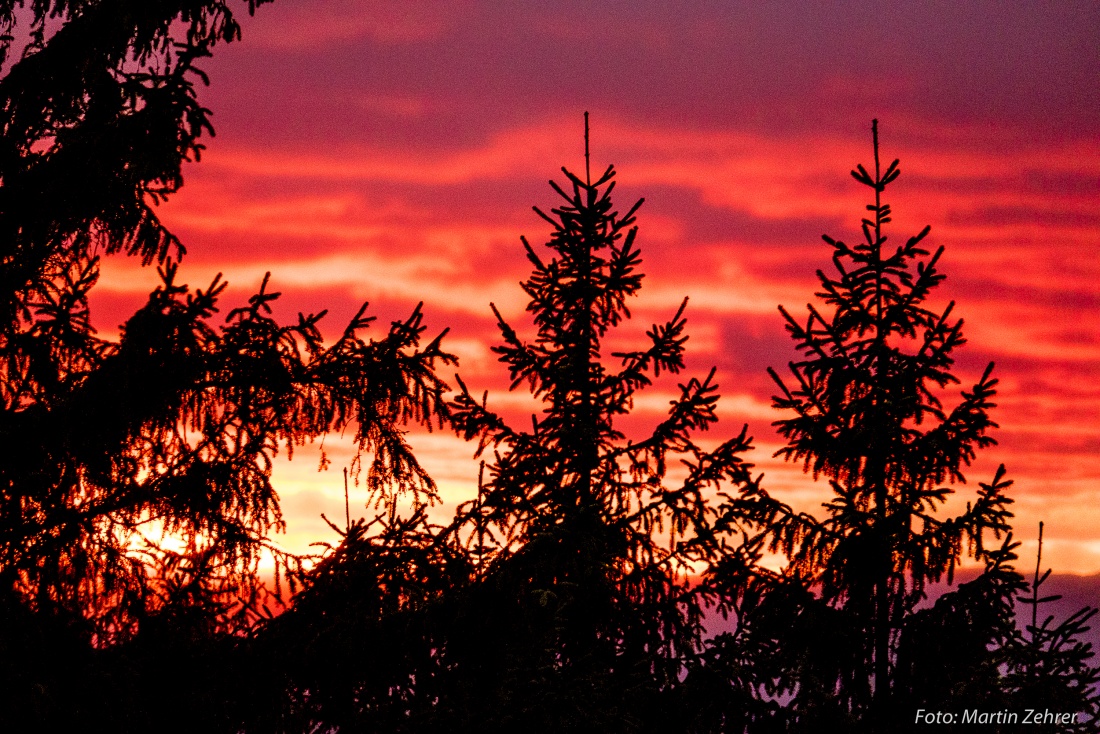 Foto: Martin Zehrer - Versteckt hinter den Tannen: Sonnenuntergang vom Steinwald aus gesehen...  