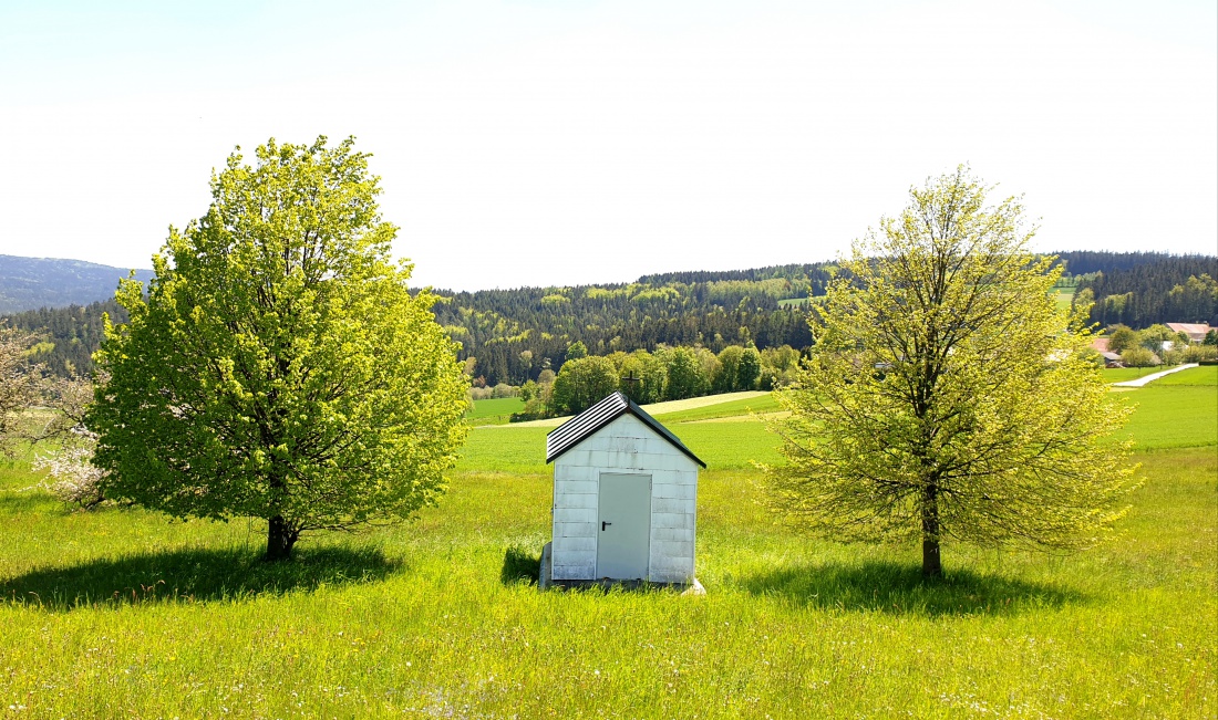 Foto: Martin Zehrer - Kapelle bei Godas...<br />
<br />
Wunderbare Sonntag-Vormittags-Wanderung  hoch zum Armesberg ins Mesnerhaus...<br />
 