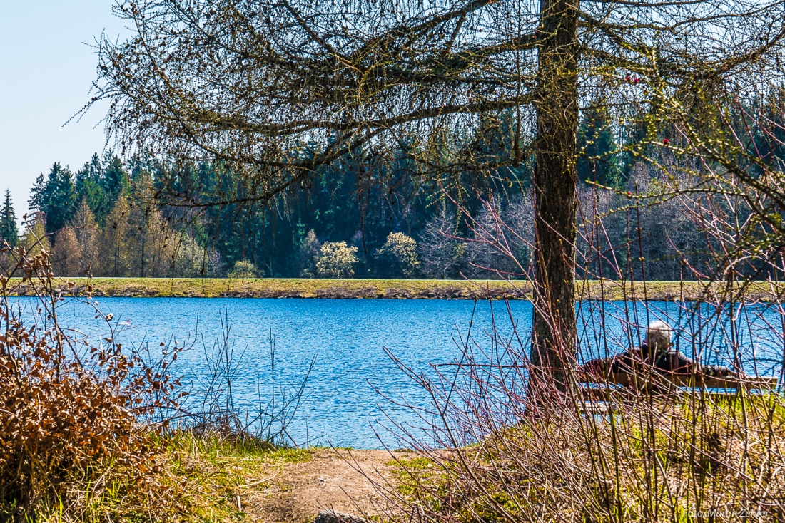 Foto: Martin Zehrer - Frühling 15.4.2019... Einfach mal am Fichtelsee in der Frühlingssonne ausspannen 