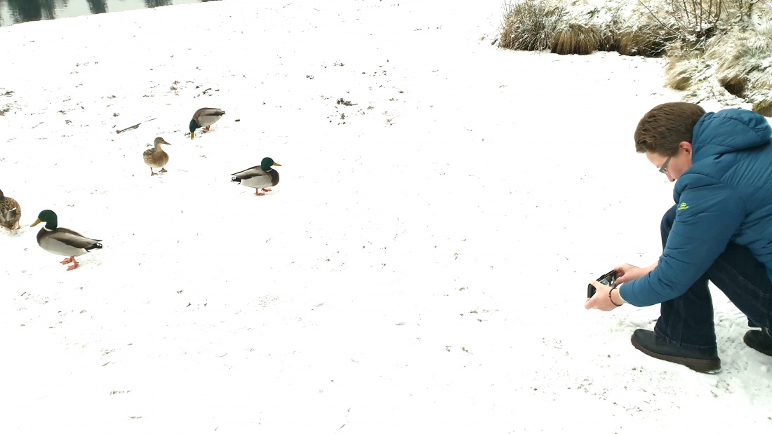 Foto: Martin Zehrer - Enten und eine Prinzessin am Fichtelsee :-) 