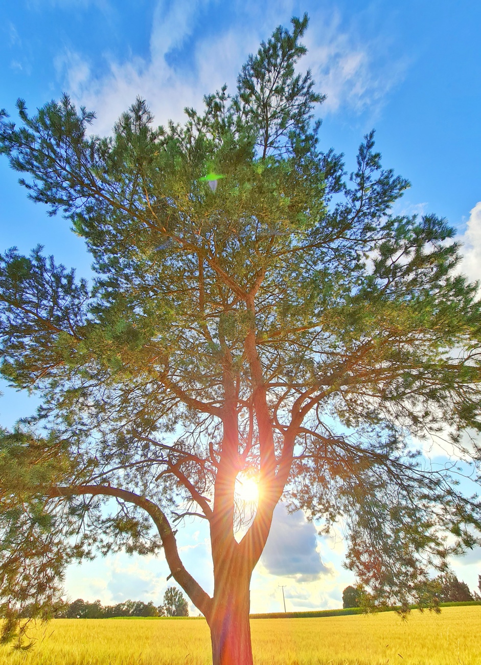 Foto: Jennifer Müller - Feierabend-Runde am 05.08.2021. Ein wunderbar sonniger Sommer-Abend rettet den eher wolkigen Tag. 