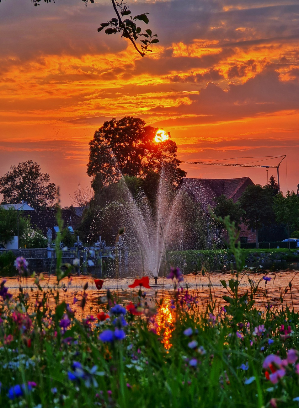 Foto: Jennifer Müller - Blumen, See und Sonnenuntergang... Tagesausklang mit meinem Schatz... Traumhaft schön! 