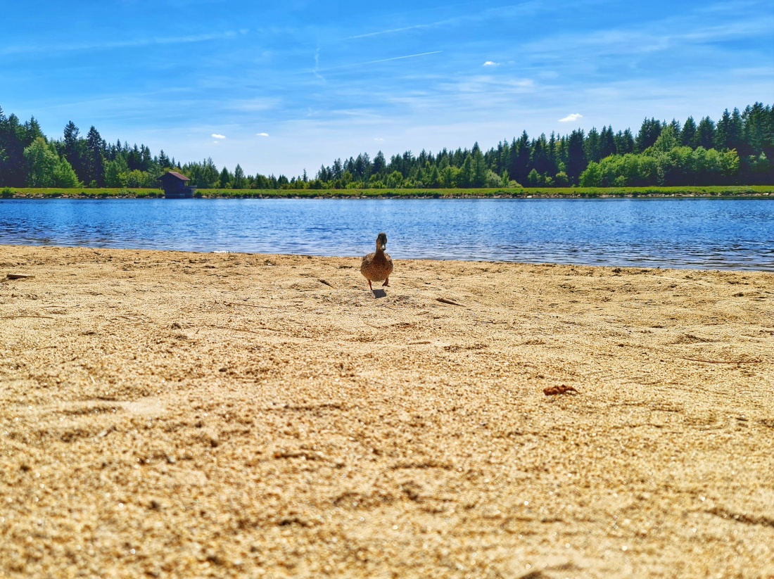 Foto: Maria - Die Mannequins vom Fichtelsee ;-) 