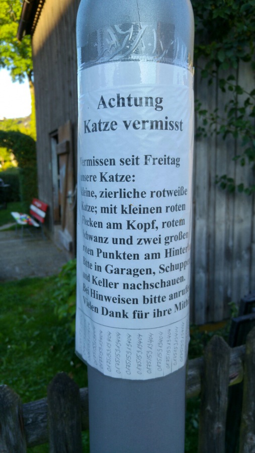 Foto: Martin Zehrer - Katze vermisst - seit Freitag... 