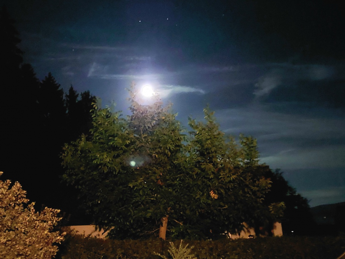 Foto: Martin Zehrer - Mystisch... Der abnehmende Mond übern Wald.<br />
<br />
Die Temperatur liegt um 22:30Uhr bei ca. 9,5 Grad. 