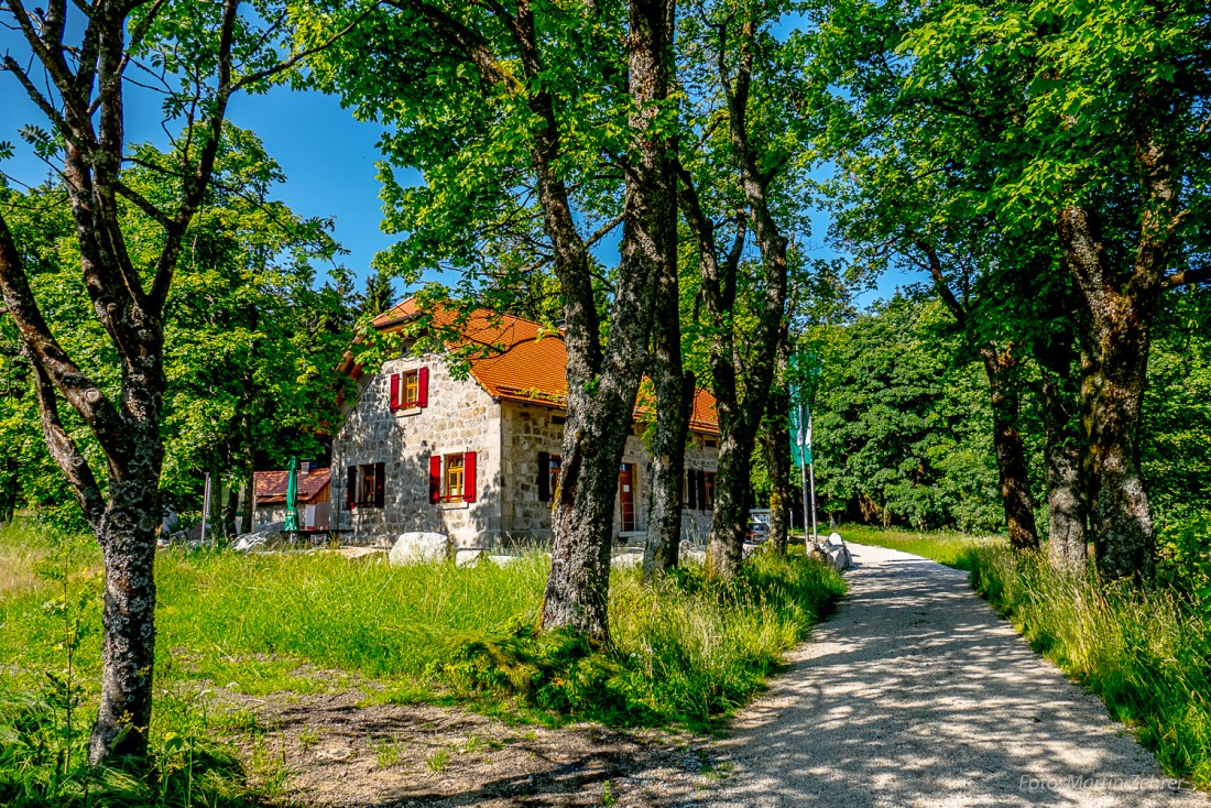 Foto: Martin Zehrer - Nur noch ein paar Meter durch die kleine Allee, dann gibts endlich eine deftige Brotzeit und was zum Durst löschen. Die Gaststätte Waldhaus in greifbarer Nähe ;-) 