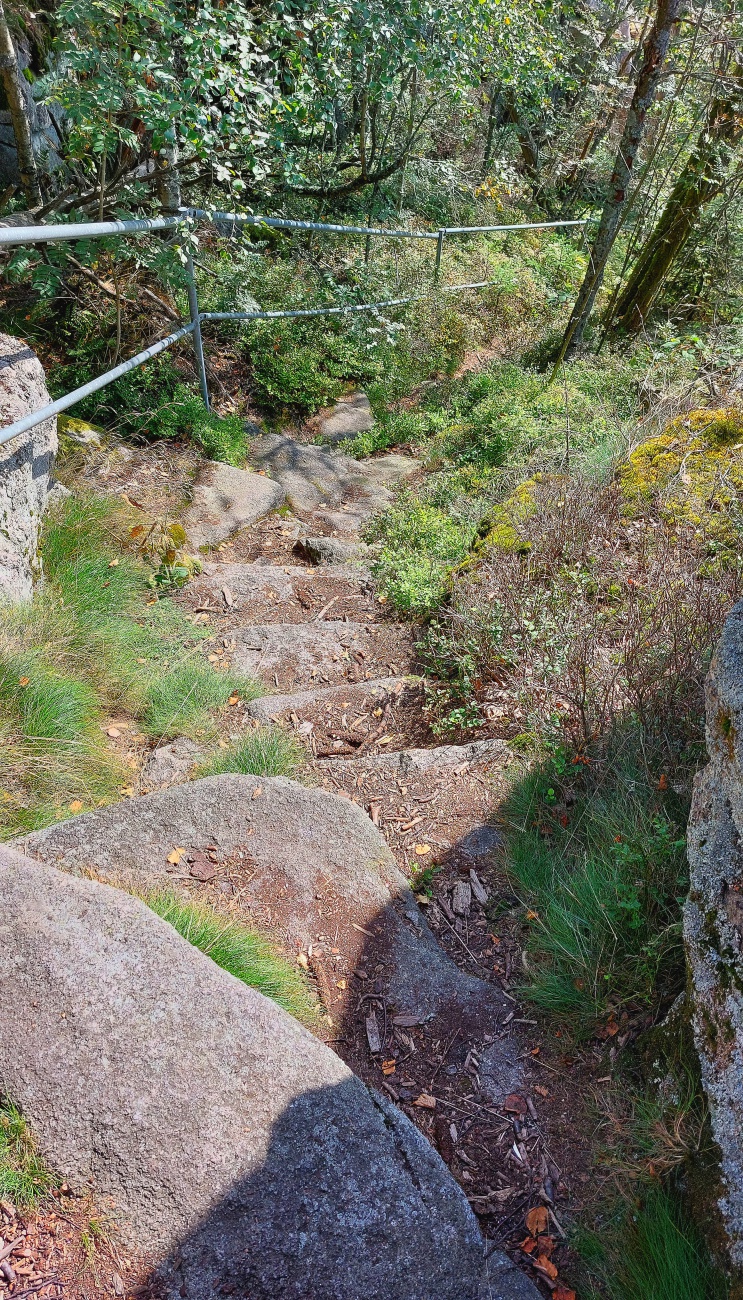 Foto: Martin Zehrer - Der Aufstieg zum Reiseneggerfelsen im Steinwald.  