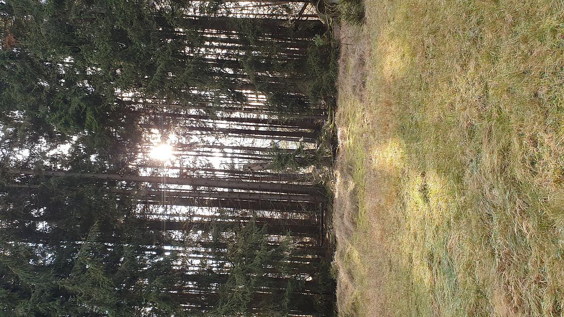 Foto: Martin Zehrer - Winter-Wanderung zu zweit, von Ölbrunn nach Hermannsreuth... Querfeldein lautete das Motto.<br />
Im Wald gabs wunderbare Licht/Schatten-Spiele! 