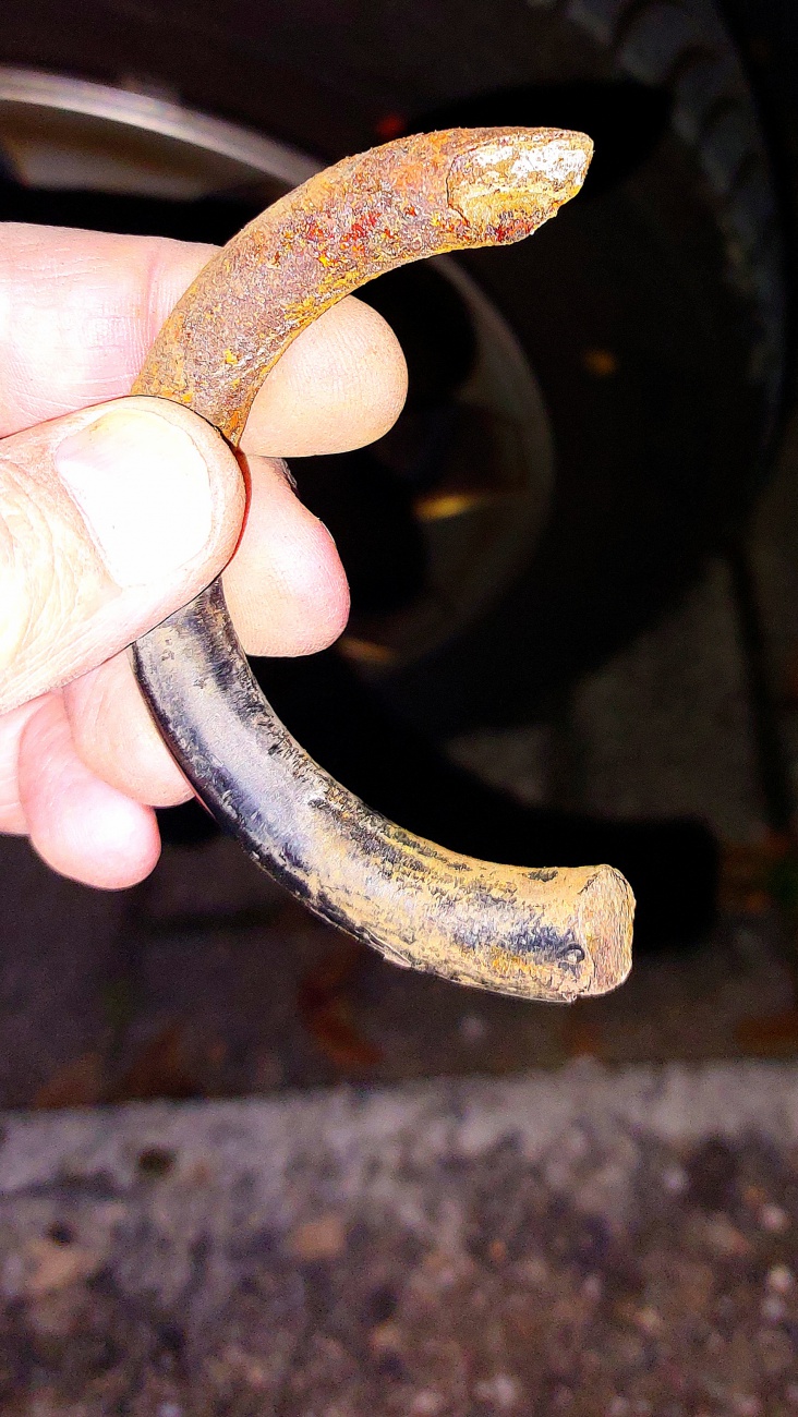 Foto: Martin Zehrer - Feder gebrochen... es machte laut dooonngggg... 