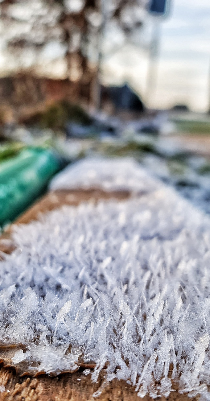 Foto: Jennifer Müller - Schnee, Eis und herrlicher Sonnenschein. Ein perfekter Tag! 