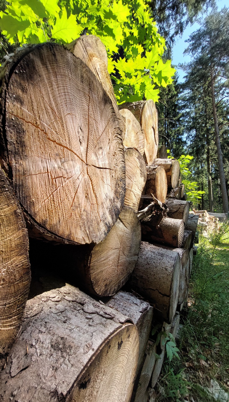 Foto: Martin Zehrer - Holz...<br />
<br />
Tag der offenen Gartentür in Neusorg...<br />
<br />
Auf Entdeckungsreise im wunderschönen Garten-Paradies der Familie Gerhardinger-Dauber... 