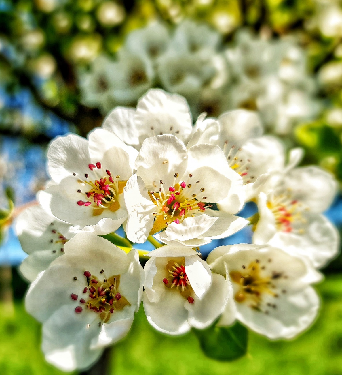 Kemnath blüht!
Ein strahlender Frühlingstag lädt ein zum Spaziergang rund um Kemnath. 
