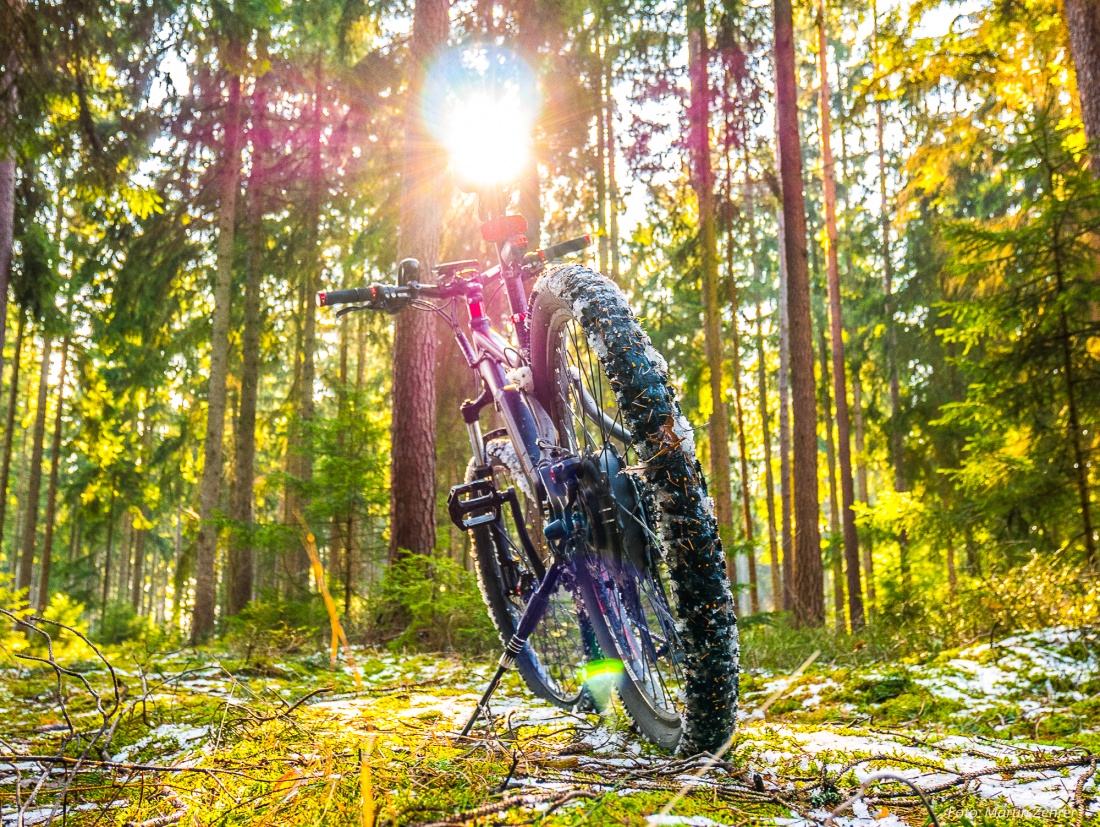 Foto: Martin Zehrer - Mit dem E-Bike durch den Frühlingswald ;-) 