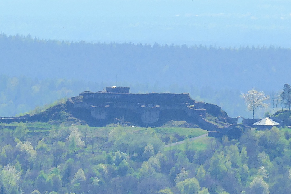 Foto: Martin Zehrer - Die Burgruine auf dem Schlossberg bei Waldeck vom Armesberg aus fotografiert.  