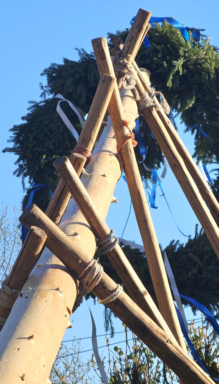 Brauchtum... Maibaum Aufstellen mit purer Manneskraft in Hermannsreuth