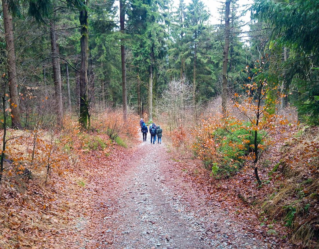 Foto: Martin Zehrer - 18. Januar 2020 - Trotz des nicht zu gemütlichen Wetters trafen wir beim Aufstieg zur Kössaine hoch auf andere Wanderer. 