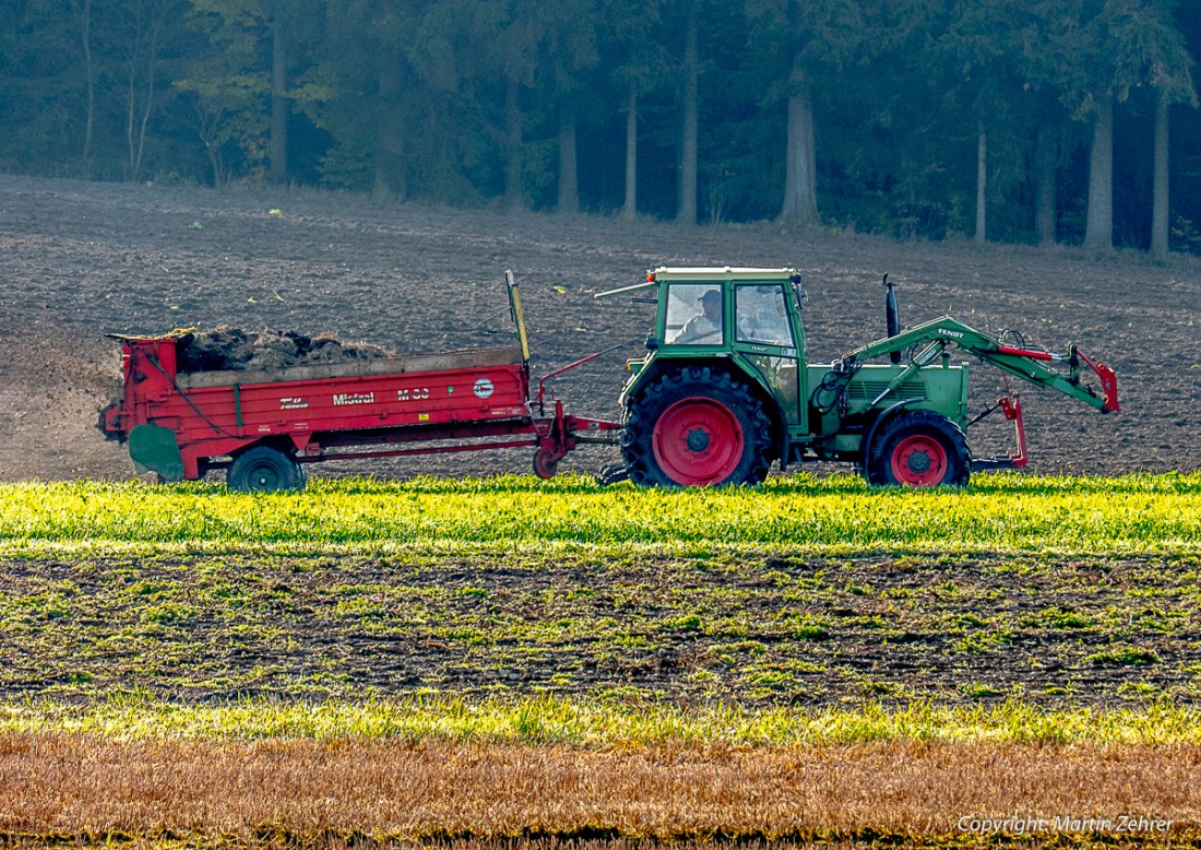 Foto: Martin Zehrer - Herbst 2015 in Godas: Düngen mit Mist... Die Landwirte richten ihre Felder fürs nächste Jahr nach der Winterruhe... 