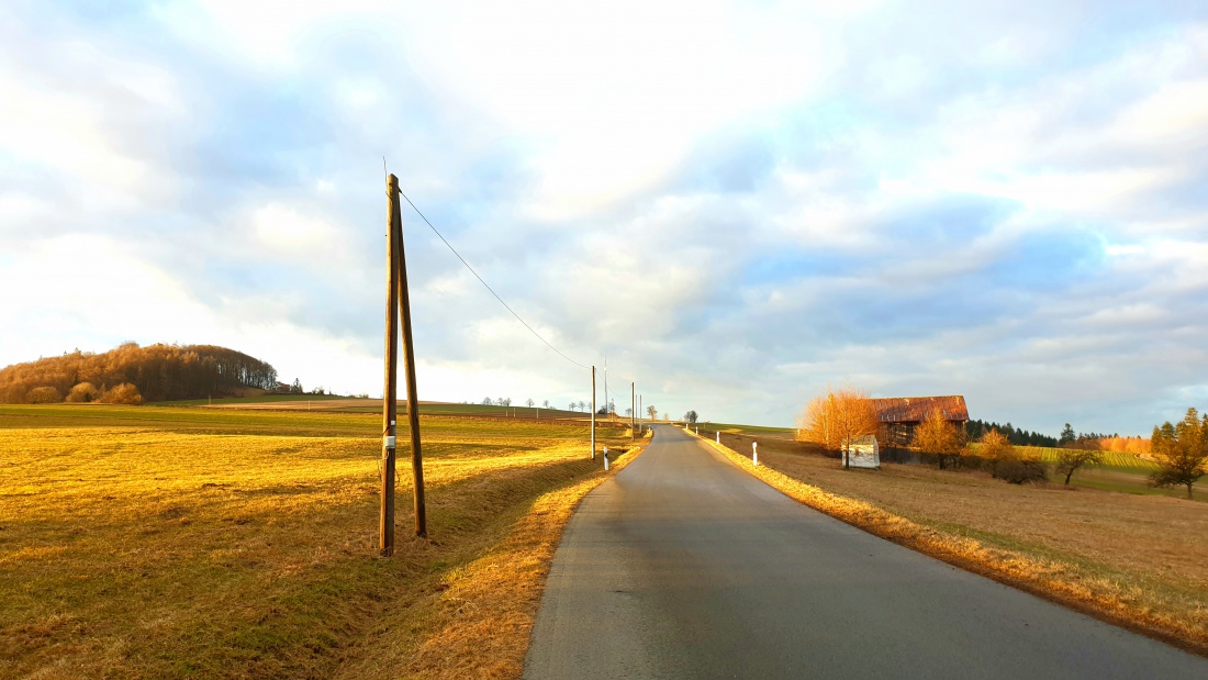 Foto: Martin Zehrer - 15. März 2021 - Spaziergang zum Armesberg hoch. Kurz vorm Sonnenuntergang wandert das Abendlicht über den Grund.<br />
<br />
Temperatur: ca. 4 Grad plus<br />
Himmel: bewölkt und dann  