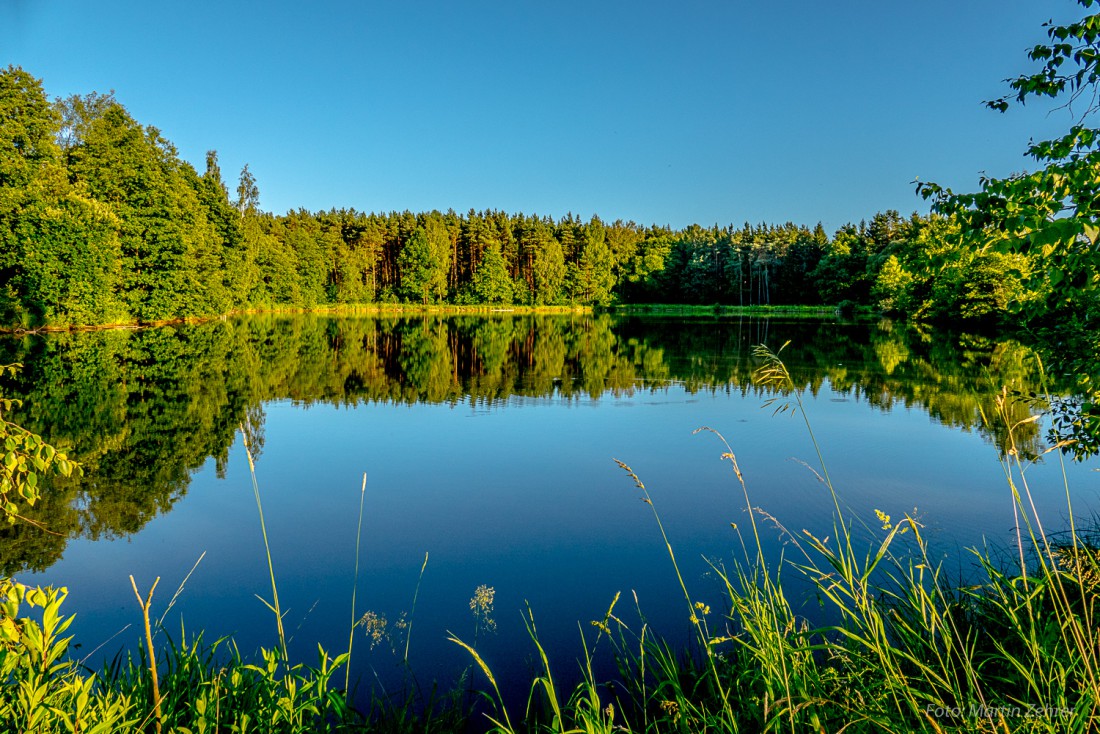 Foto: Martin Zehrer - Traumhafter Weiher bei Schönreuth. Ein Sommertag zum Wandern... 