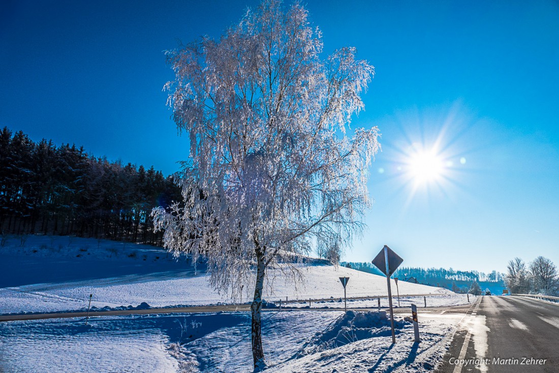 Foto: Martin Zehrer - Sonnenkraft ist... wenn die Sonne lacht :-D 