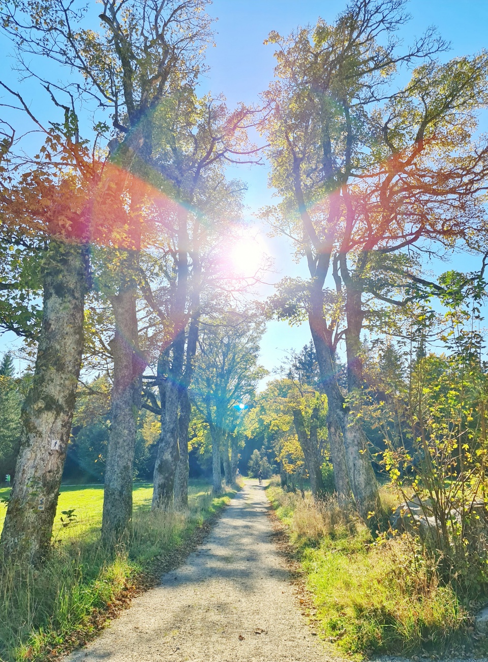 Foto: Jennifer Müller - Morgens Wandern in Godas und Nachmittags hoch zum Steinwald. Ein herrlicher Herbst-Sonnentag machte es uns unmöglich heut zuhause zu bleiben. Wir mussten einfach raus in  