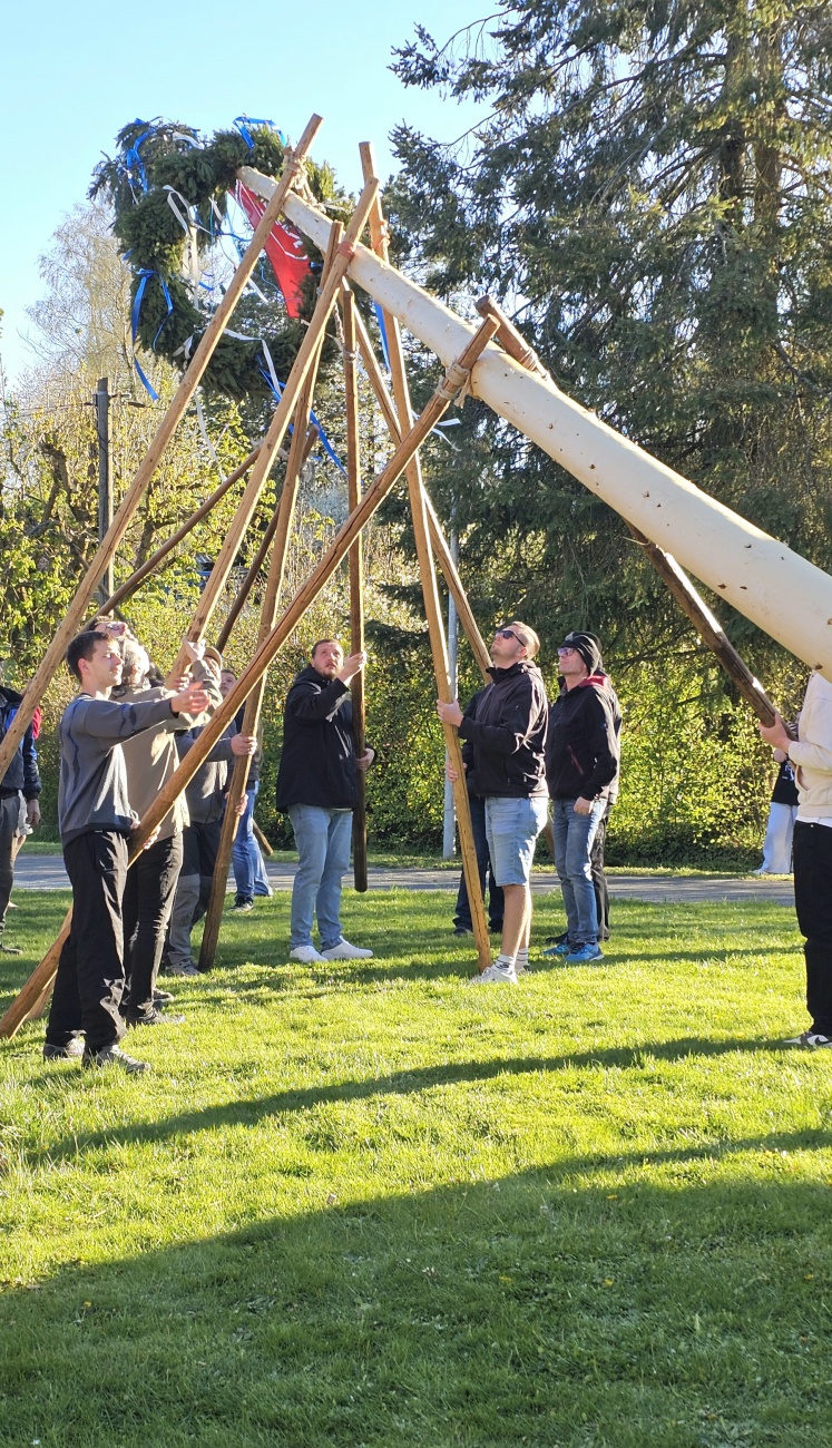 Brauchtum... Maibaum Aufstellen mit purer Manneskraft in Hermannsreuth