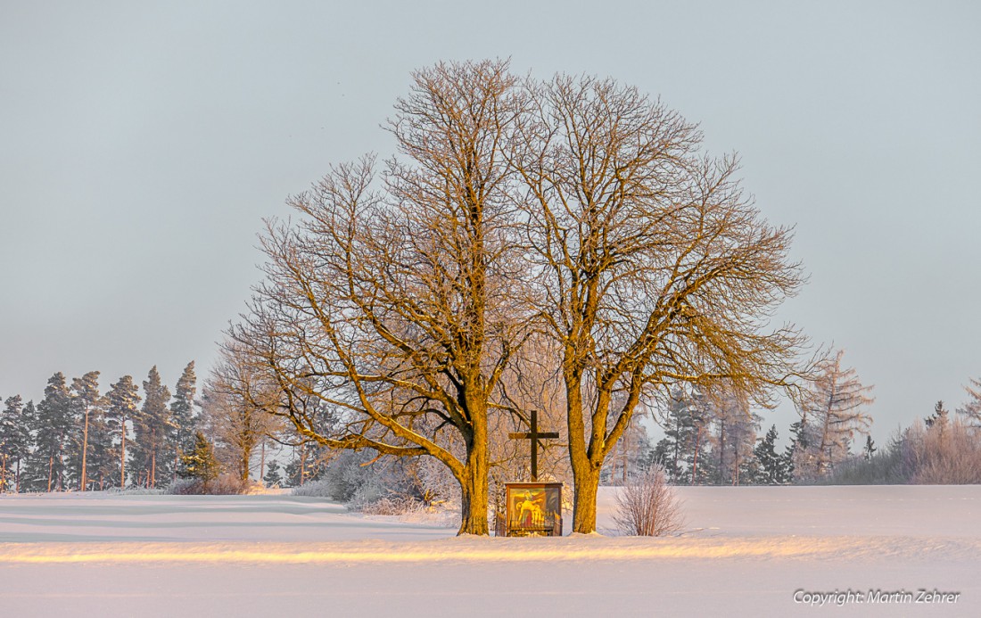 Foto: Martin Zehrer - Die Morgensonne strahlt ihn an. Das Kreutz und das Heiligenbild dürfte vom Köstler-Opa stammen. Auch die Bäume hat er in jungen Jahren gepflanzt. Nähe Hermannsreuth, bei  