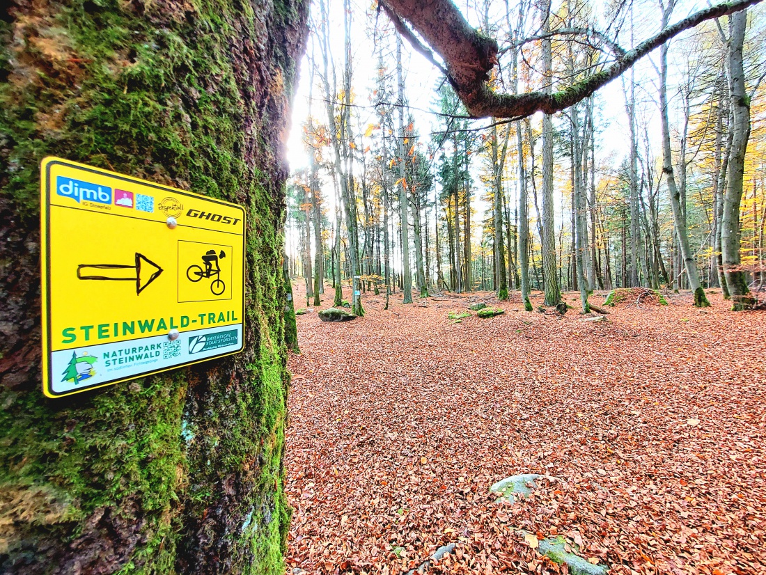 Foto: Martin Zehrer - Bike-Trail im Steinwald... 