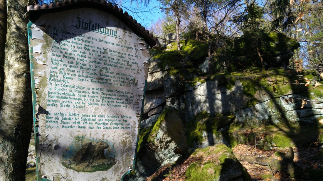 Foto: Martin Zehrer - Im Steinwald an der Zipfeltanne... 