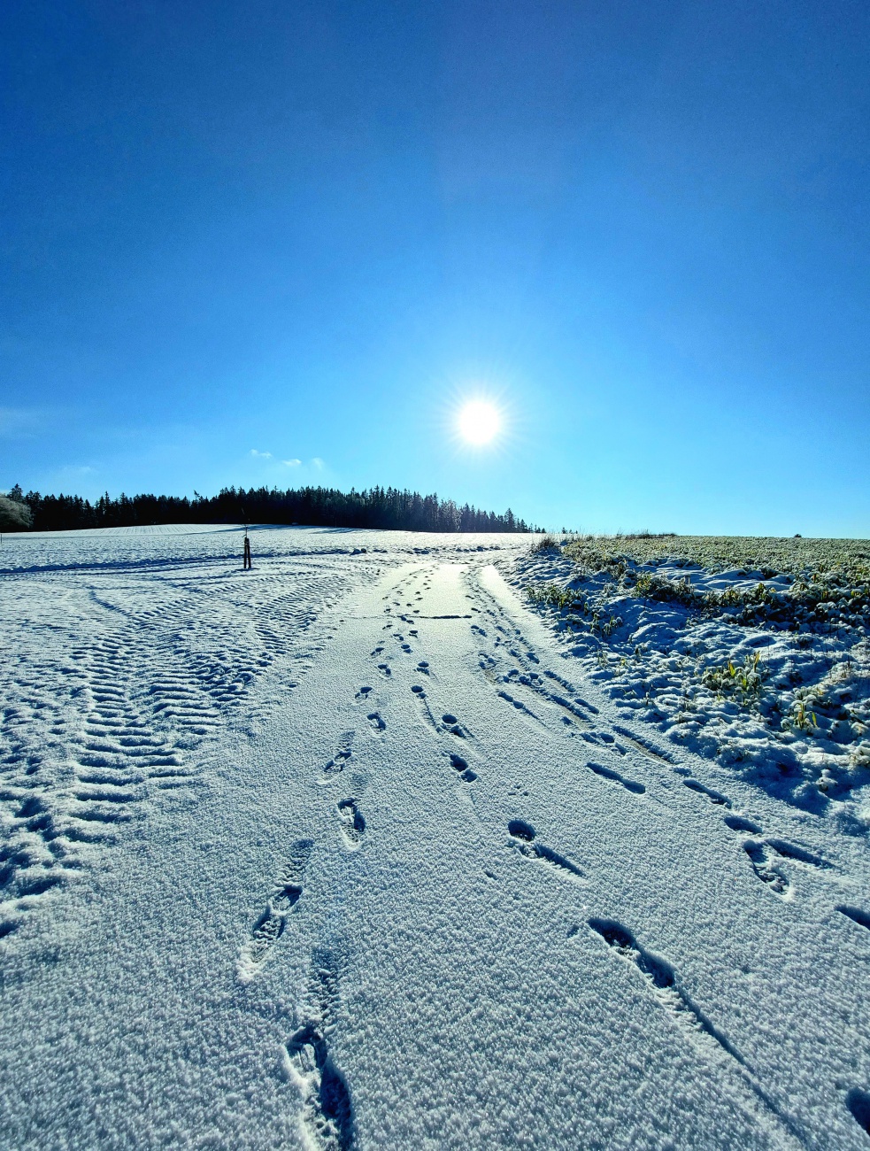 Foto: Martin Zehrer - GODAS - ABSOLUT GIGANTISCH!!!<br />
<br />
Endlich wieder ein herrlich sonniger Winter-Tag. <br />
Bei -5 Grad Kälte strahlte die Sonne wirklich voller Energie vom blauen Himmel. 
