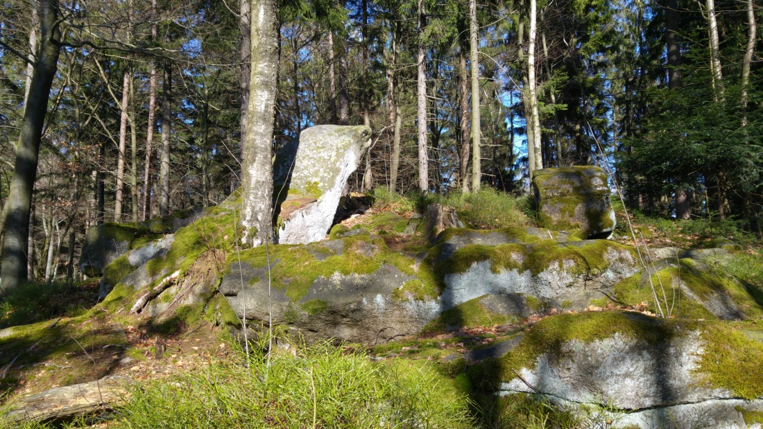 Foto: Martin Zehrer - Einmaliger Steinwald 