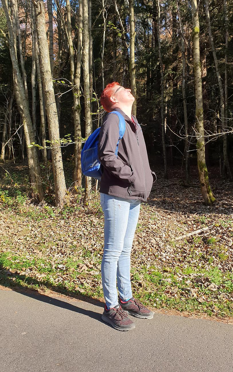 Foto: Jenny Müller - Hammer-Wetter am 7. November 2020<br />
<br />
Die Wanderung ging von Godas nach Waldeck, von dort quer durch den Wald hinauf zum Zisslar-Hut bei Zwergau und dann wieder nach Godas 