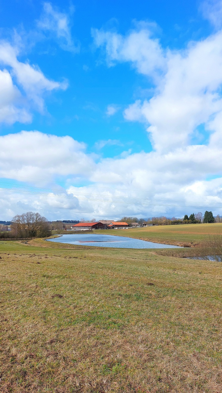Frühlings-Blick nach Eisersdorf...

Am 24. Februar 2026 war das Wetter bei Kemnath sehr frühlingshaft.
Die Temperatur lag so ca. bei +14 Grad, die Vögel pfiffen um die Wette und es lag der Duft von frisch aufgetauter Erde in der Luft.
Die Wolken wetteiferten mit der Sonne um die Vorherrschaft.