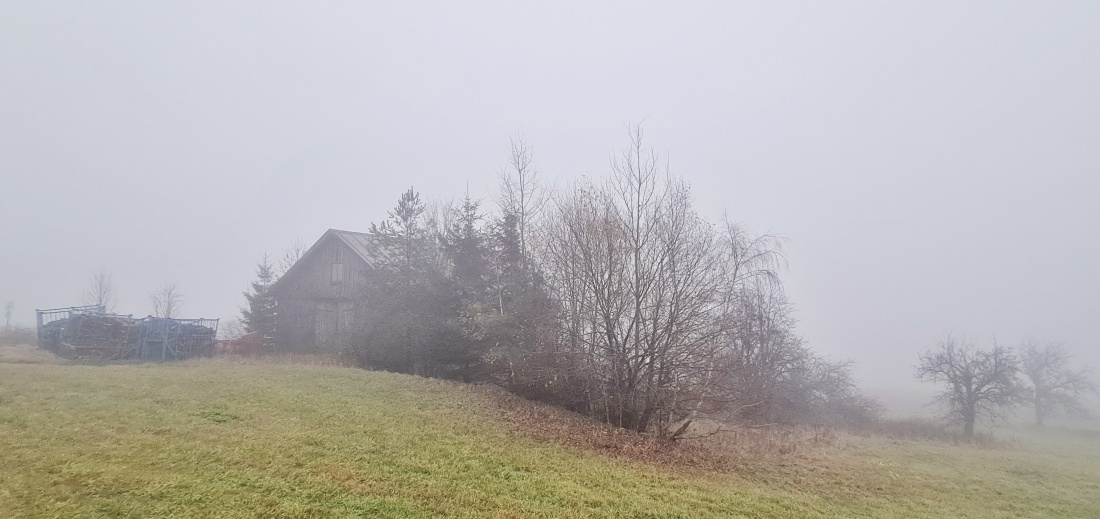 Foto: Jennifer Müller - Schaurig-schöner Spätherbst-Tag... 6 Grad, zeitweise Nieselregen und dichter Nebel oben bei Godas. 