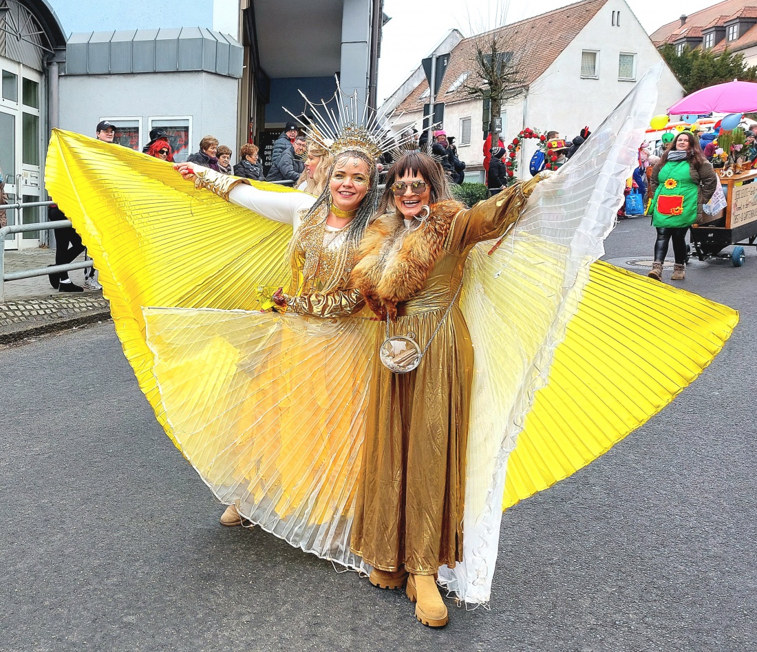 Faschingszug Pressath 2026