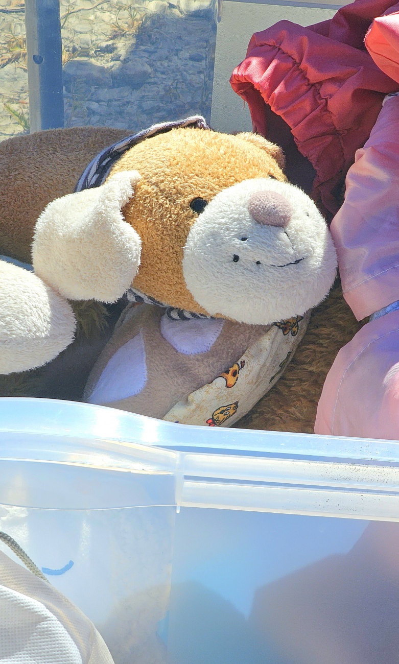 Am 2. Mai 2026 wurde der Festplatz in Bayreuth zum Treffpunkt für alle Flohmarkt-Fans. Beim großen Frühjahrsflohmarkt präsentierten zahlreiche Aussteller mit viel Freude ihre Waren ... von liebevoll arrangierten Trödelstücken bis hin zu echten Raritäten.
Die entspannte Atmosphäre, das bunte Treiben und die vielen persönlichen Begegnungen machten den Tag zu einem besonderen Erlebnis. Besucher konnten nicht nur stöbern und handeln, sondern auch die Begeisterung der Verkäufer spüren, die mit Herzblut ihre Schätze anboten.