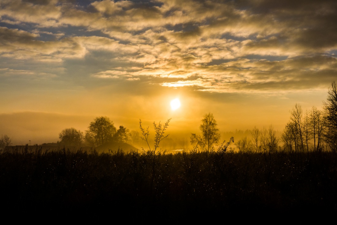 Foto: Martin Zehrer - Traum-Morgen-Bild 